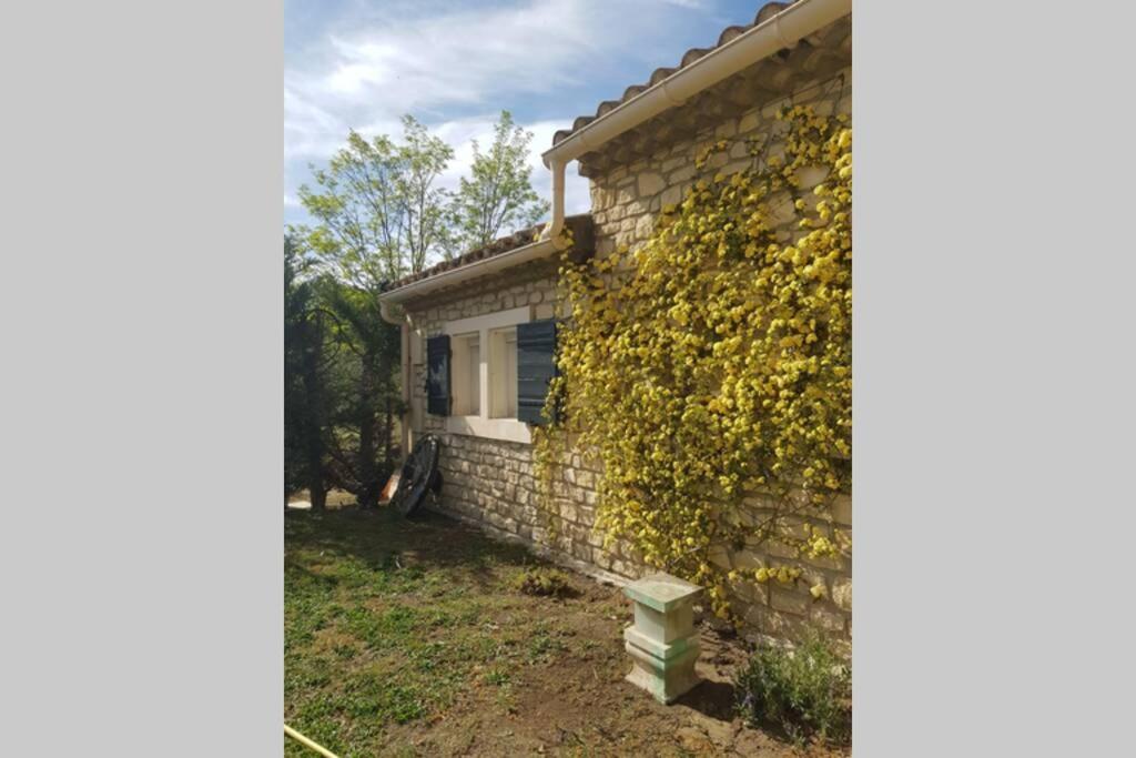 Appartement 2 pers avec accès piscine Saint-Rémy-de-Provence Extérieur photo